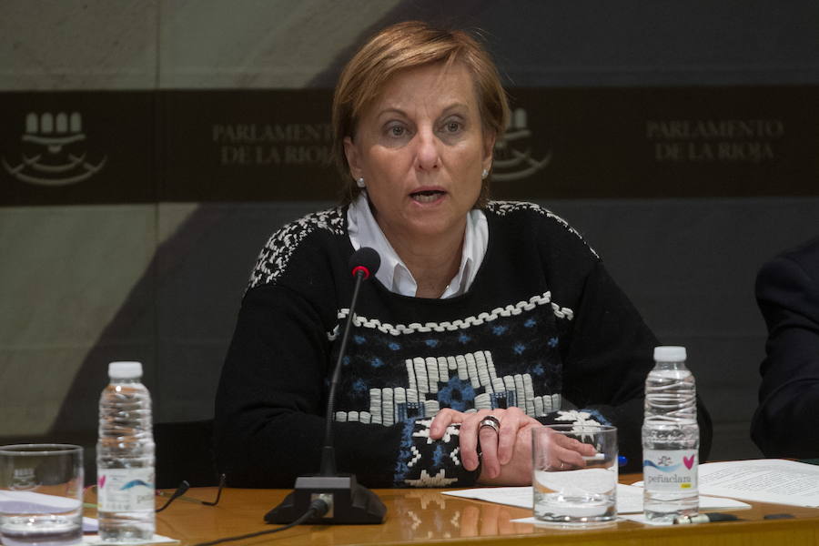 González Menorca: «El Gobierno riojano apoya a la Cámara; no las malas gestiones»