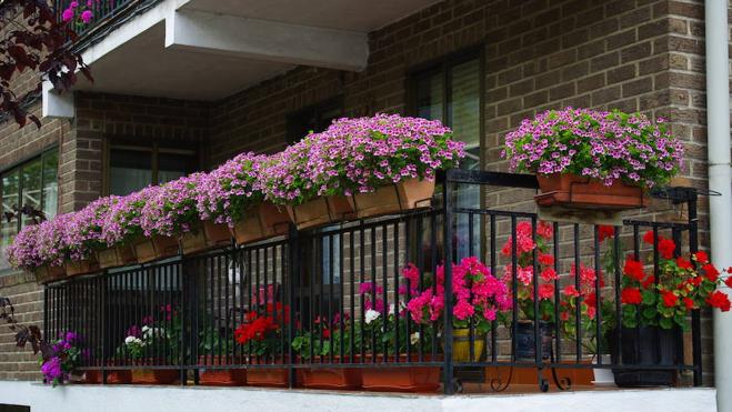 El I concurso de balcones llama a embellecer la calle Preciados para La Rioja Tierra Abierta