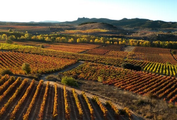 Haro pide para su viñedo una protección similar al del valle de Ezcaray y el Camino de Santiago