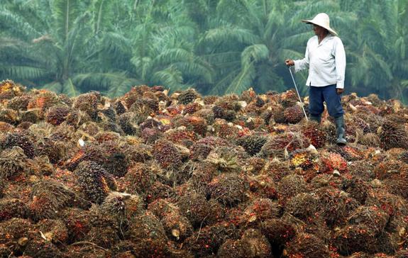 El peor aceite, el más usado