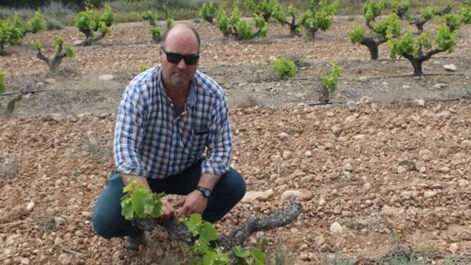 Agricultores de Rioja Baja sufren daños por jabalíes y corzos