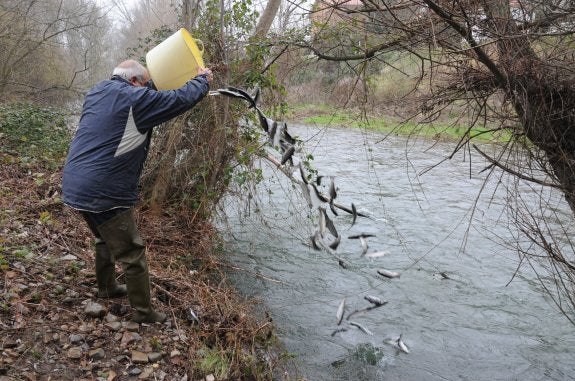 La pesca sin muerte en el coto intensivo, los lunes