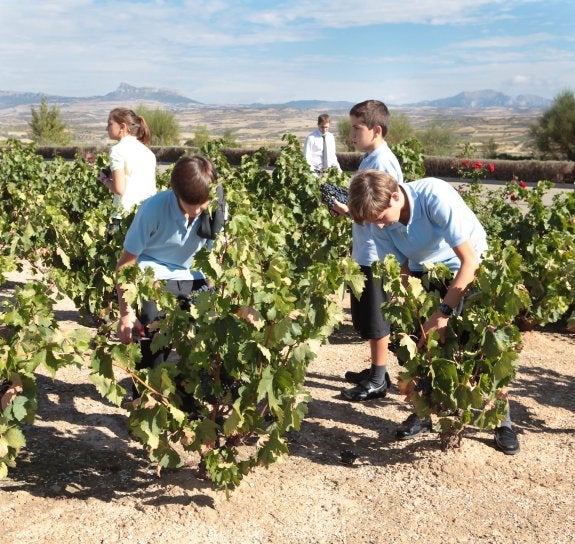 Vivir el mundo del vino al aire libre y actividades también para los niños