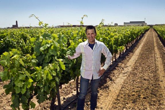 «A la gente le encanta pasear por los viñedos, probar aquí los vinos»