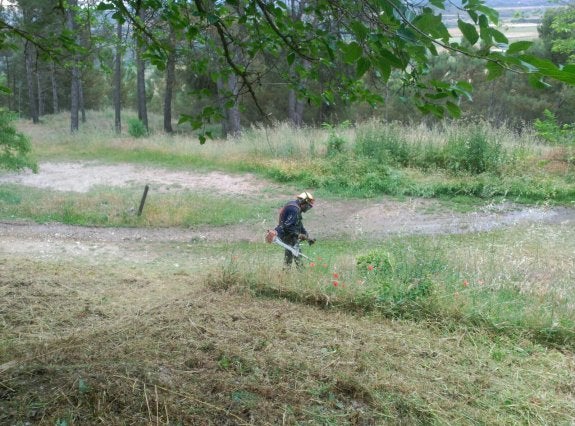 A un mes de la gran Batalla del Vino