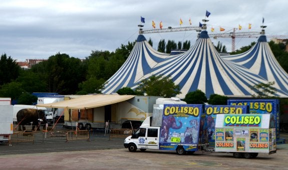 Calahorra autoriza un circo con animales, frente a lo aprobado en un pleno de abril