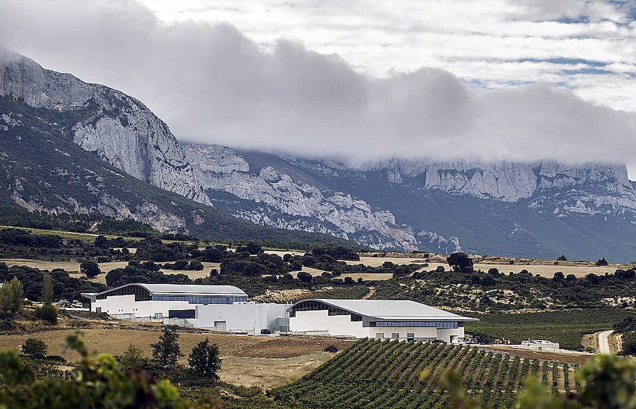 El Rey Don Juan Carlos I inaugurará la bodega Rothschild-Vega Sicilia de Samaniego